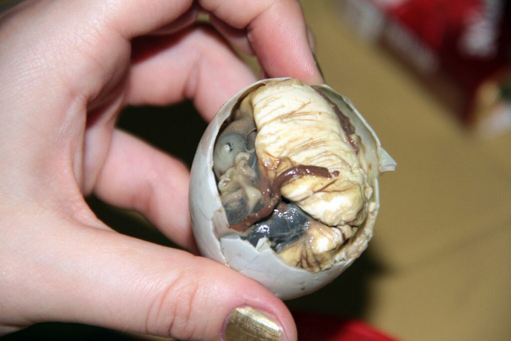 Ovo cozido, com a casca quebrada mostrando o embrião de pato lá dentro, simbolizando o balut